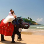 Свадьба на Шри-Ланке - Турфирма tekila-tour