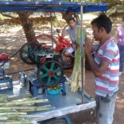 Индия, изготовление сока из тросника