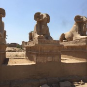 Египет. Хургада 2019 год. Фото туриста ТА "Текила-Тур" Георгия