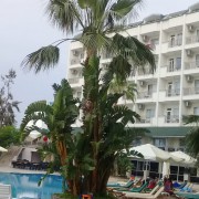 Турция. Алания. Май 2019 год. Отель "Asrin Beach Hotel" 4* Фото семьи Олту