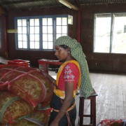 производство чая, Шри-Ланка, 2015