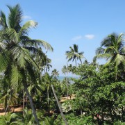 Шри-Ланка 2015, Ваддува