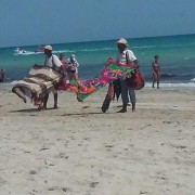 Тунис, о. Джерба, пляж Sentido Djerba Beach 4*