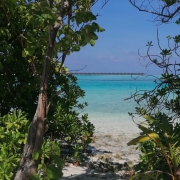 Мальдивы, ноябрь 2022, фото туристов Текила-Тур
