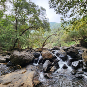 Индия, Гоа, Водопад Дудсагар, ноябрь 2023, фото туристов Текила-Тур