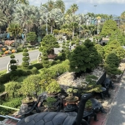 Таиланд, Паттайя, март 2026, фото туристов Текила-Тур