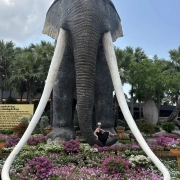 Таиланд, Паттайя, март 2026, фото туристов Текила-Тур