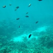 Египет, декабрь 2025, фото туристов Текила-Тур