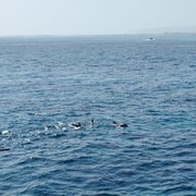 Египет, декабрь 2025, фото туристов Текила-Тур