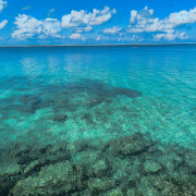 Мальдивы, декабрь 2025, фото туристов Текила-Тур