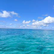 Мальдивы, декабрь 2025, фото туристов Текила-Тур