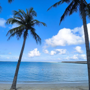 Мальдивы, декабрь 2025, фото туристов Текила-Тур