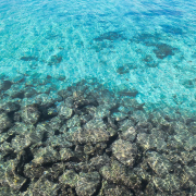 Мальдивы, декабрь 2025, фото туристов Текила-Тур