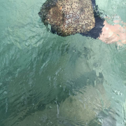 Мальдивы, декабрь 2025, фото туристов Текила-Тур