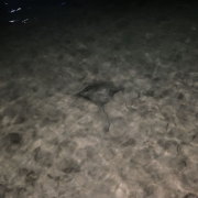 Мальдивы, декабрь 2025, фото туристов Текила-Тур