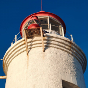 Россия, Владивосток, январь 2026, фото туристов Текила-Тур