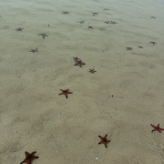 Вьетнам, о. Фукуок, январь 2026, фото туристов Текила-Тур