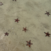 Вьетнам, о. Фукуок, январь 2026, фото туристов Текила-Тур