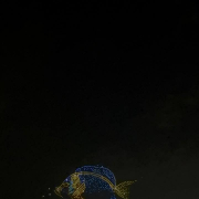 ОАЭ, январь 2026, фото туристов Текила-Тур