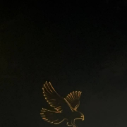 ОАЭ, январь 2026, фото туристов Текила-Тур