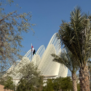 ОАЭ, январь 2026, фото туристов Текила-Тур