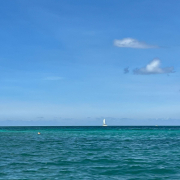 Маврикий, январь 2024, фото туристов Текила-Тур