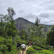 Шри-Ланка, апрель 2024, фото туристов Текила-Тур