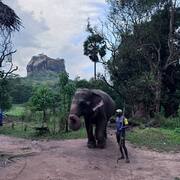 Шри-Ланка, апрель 2024, фото туристов Текила-Тур 