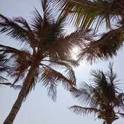 ОАЭ, октябрь 2025, фото туристки Текила-Тур Натальи