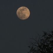 Шри-Ланка, ноябрь 2025, фото туристки Текила-Тур Юлии