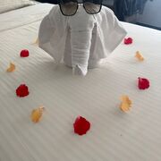 Шри-Ланка, ноябрь 2025, фото туристки Текила-Тур Юлии