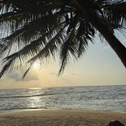 Шри-Ланка, ноябрь 2025, фото туристки Текила-Тур Юлии